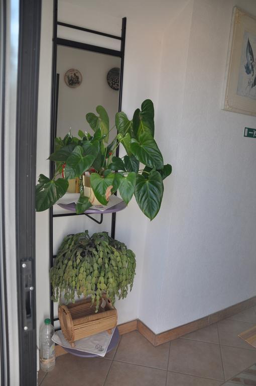 Franko Apartmani Zambratija  Exteriör bild
